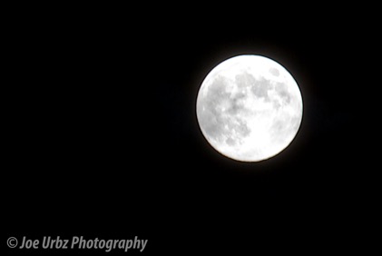 IMG_6246